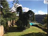 Rif. 051 - Castellaro Villa bifamiliare con ascensore e piscina