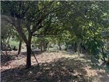 Rif. 012 &#8211; Soleggiata casa di ampia metratura con terrazza vista panoramica, depositi e terreno antistante di propriet&#224;.