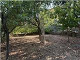 Ref. 012 – Spacious, sunny house with panoramic terrace, storage rooms and private land in front.