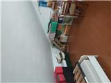 Ref. 074 Large two-family Villa with garden