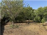 Ref. 012 – Spacious, sunny house with panoramic terrace, storage rooms and private land in front.