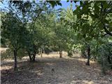 Ref. 012 – Spacious, sunny house with panoramic terrace, storage rooms and private land in front.
