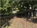 Rif. 012 &#8211; Soleggiata casa di ampia metratura con terrazza vista panoramica, depositi e terreno antistante di propriet&#224;.