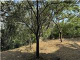 Ref. 012 – Spacious, sunny house with panoramic terrace, storage rooms and private land in front.