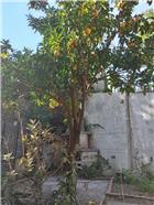 Ref. 071 &#8211; Four-room apartment with outdoor space and large terrace